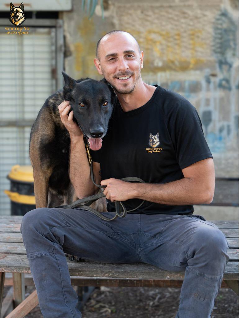אילוף כלבים מקצועי