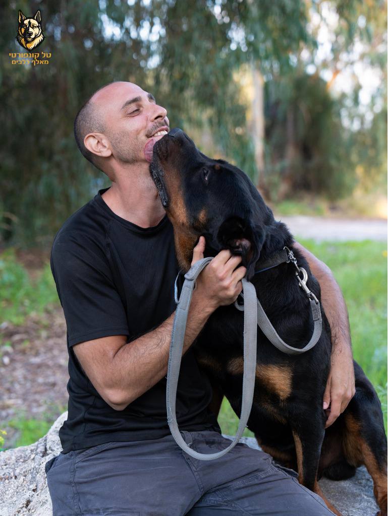 אילוף מתקדם